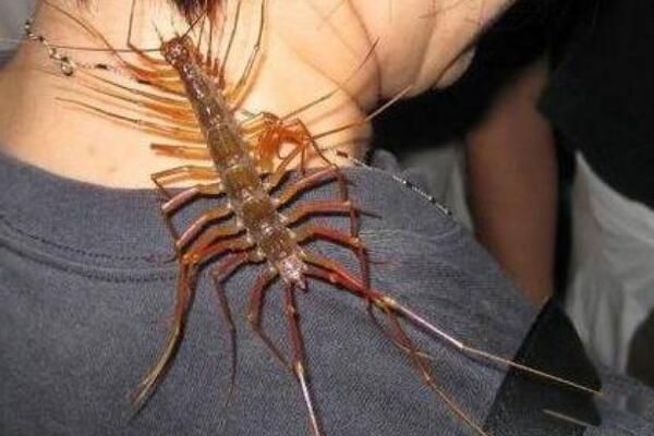 ��������滹�Ǻ��� �������ǲ����ж���