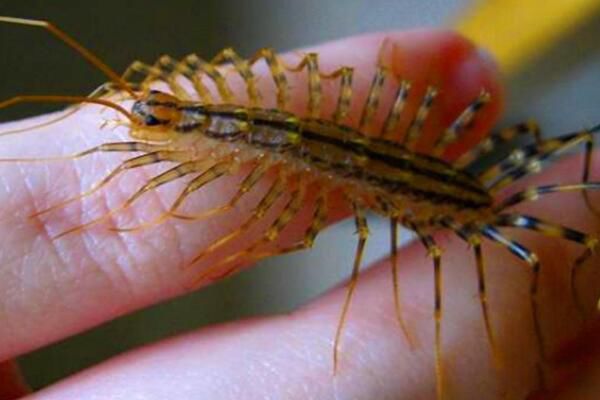 ��������滹�Ǻ��� �������ǲ����ж���