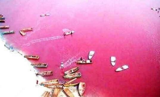 ������Ѫ��֮�� �����������Ѫ������ô�γɵ�