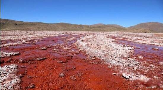 ������Ѫ��֮�� �����������Ѫ������ô�γɵ�