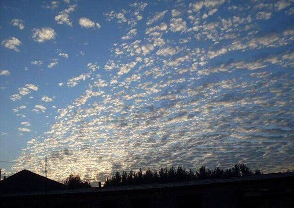 �������������� ��������һ�ַǳ�����ֲ�����