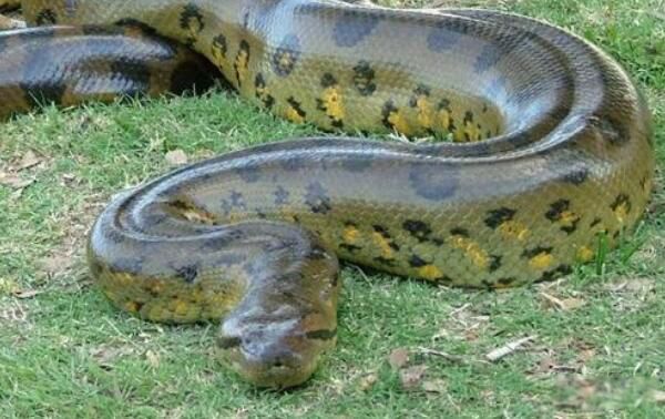 ��ˮ����ʲô�� ��������������������