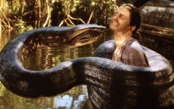 ��ˮ����ʲô�� ��������������������