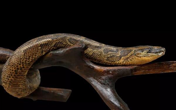 ��ˮ����ʲô�� ��������������������