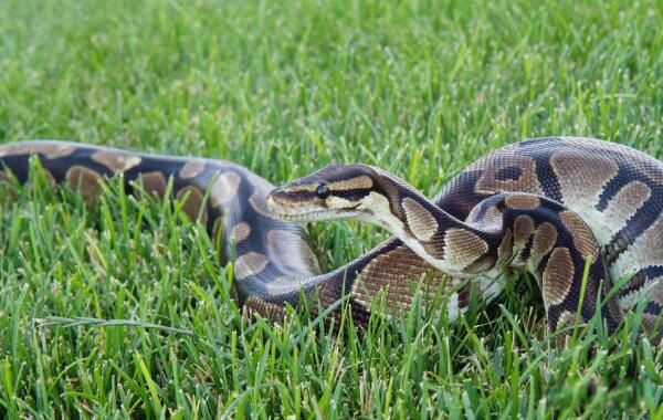 ��ˮ����ʲô�� ��������������������