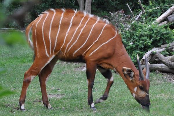 ������ʲô���� ���ο���������¹������