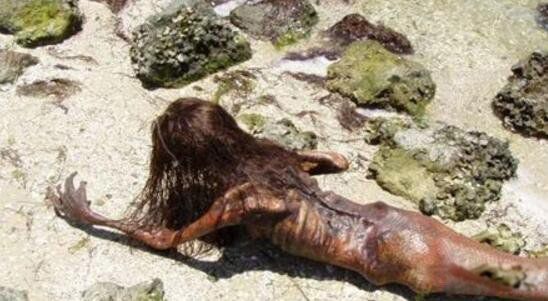 ������ͼƬ��ʵ ��ʷ�Ϲ���������ļ���