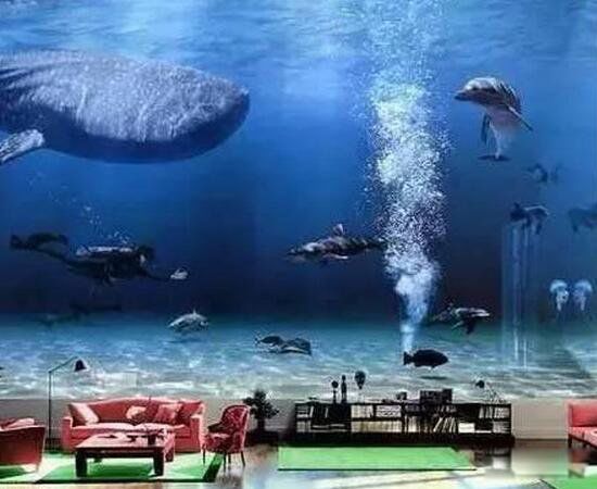 ���������ĺ�լ���ȶ��Ǵĺ�լ(�ι�һ��22��/��ֵ6��)