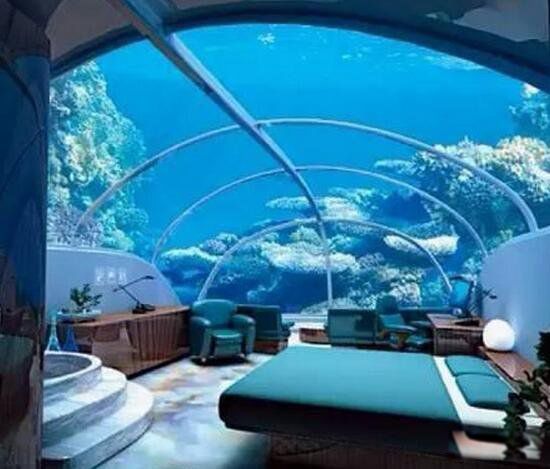 ���������ĺ�լ���ȶ��Ǵĺ�լ(�ι�һ��22��/��ֵ6��)