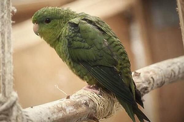 ��������ǺϷ��������� ����,���ڹ��Ҷ�����������