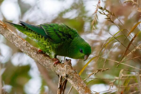 ��������ǺϷ��������� ����,���ڹ��Ҷ�����������