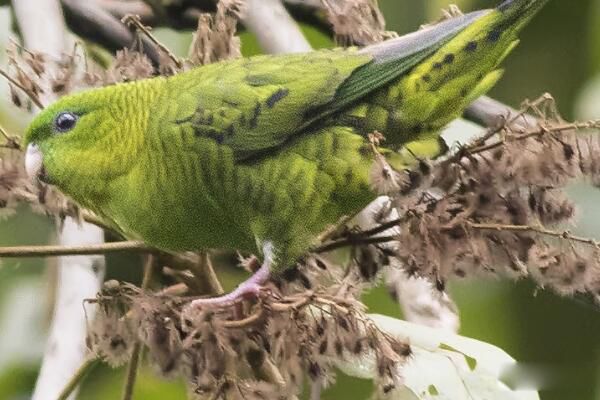 ��������ǺϷ��������� ����,���ڹ��Ҷ�����������