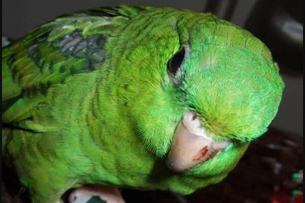 ��������ǺϷ��������� ����,���ڹ��Ҷ�����������