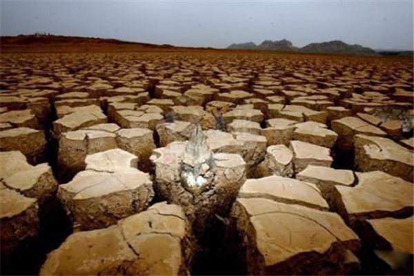 3人一个月用几吨水 一家3口正常用水一个月要用多少?