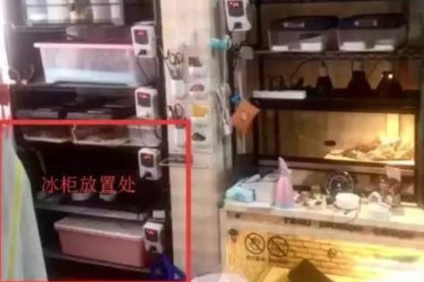 �Ϻ������ʬ�����½�չ �Ϻ������ʬ����������?����ô����