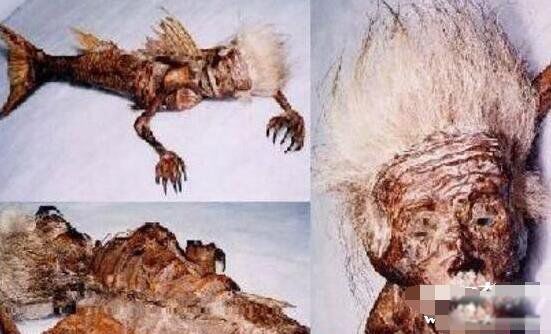 ������ͼƬ��ʵ ��ʷ�Ϲ���������ļ���