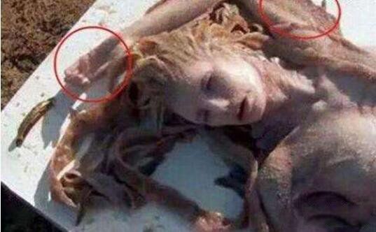 ������ͼƬ��ʵ ��ʷ�Ϲ���������ļ���