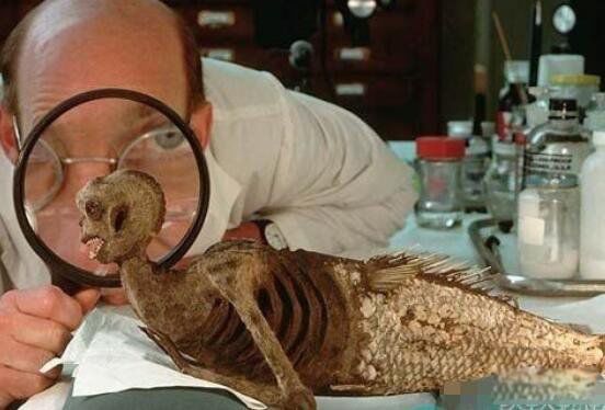 ������ͼƬ��ʵ ��ʷ�Ϲ���������ļ���