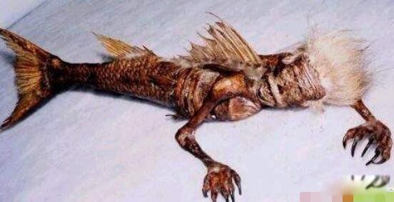 ������ͼƬ��ʵ ��ʷ�Ϲ���������ļ���