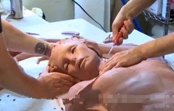 ������ͼƬ��ʵ ��ʷ�Ϲ���������ļ���