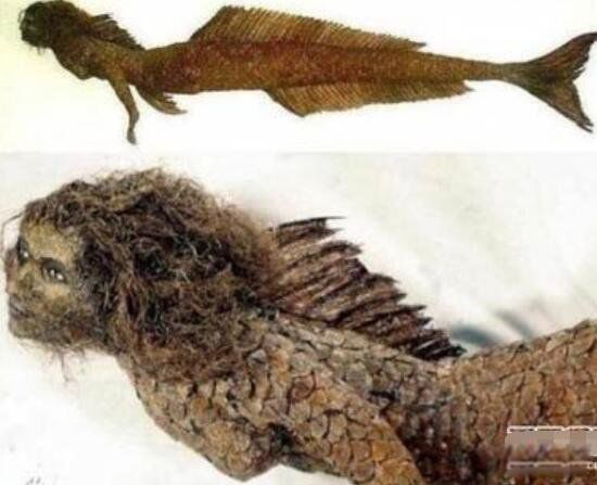 ������ͼƬ��ʵ ��ʷ�Ϲ���������ļ���