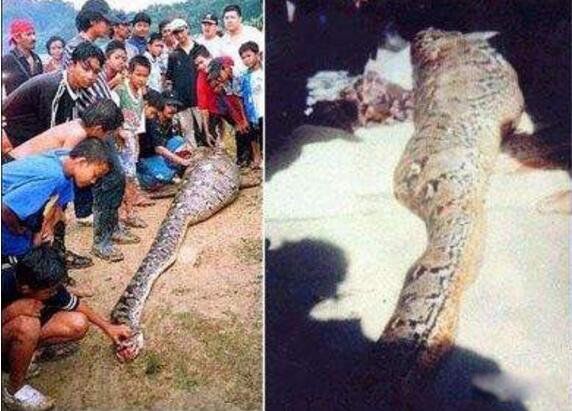 ���߳��˲Ұ���ô���� �������Ǿ��־�����Ƶ