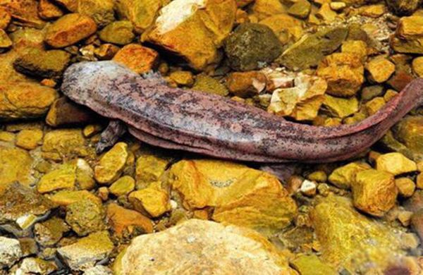 ���������ܶ����� ����������������ʲô����