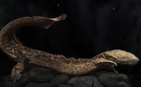 ���������ܶ����� ����������������ʲô����