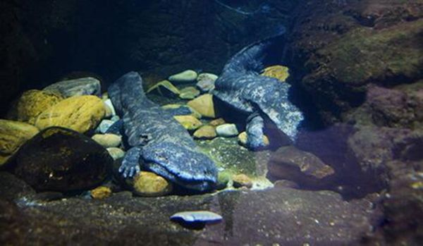 ���������ܶ����� ����������������ʲô����