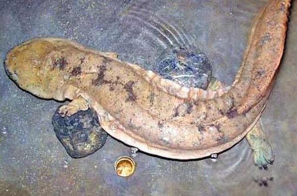 ���������ܶ����� ����������������ʲô����