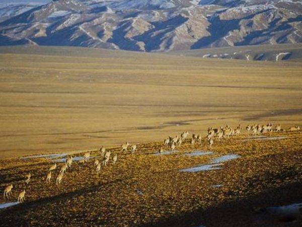 ��������ʲô�ط����еĶ���?������������ ������Ǩ���ԭ����ʲô