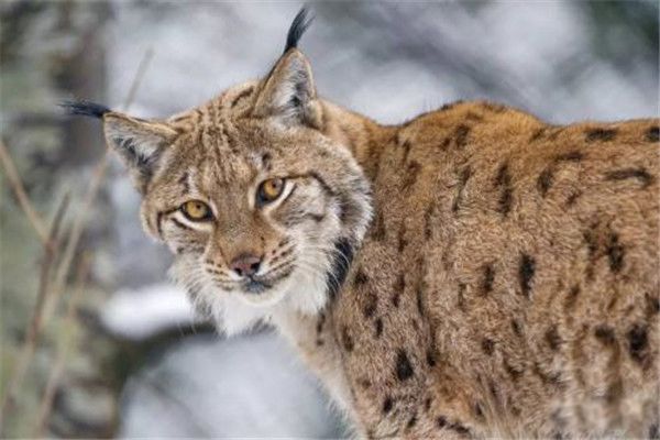 ��������˻�ҧ���� ���ҧ���˳����¼���ʵ������