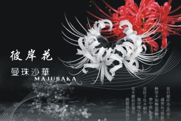 �˰����Ĵ�˵�ֲ� ��˵�˰�������������