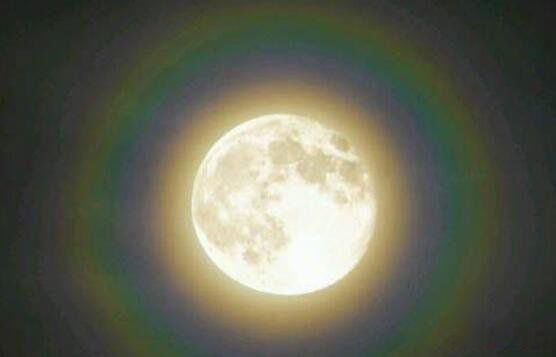 ����������ʲô���� ����Ī�ⱻ��������