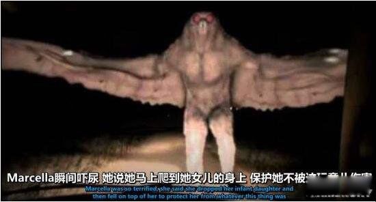 ����˳��˵�ͼƬ �������Ĵ�����?