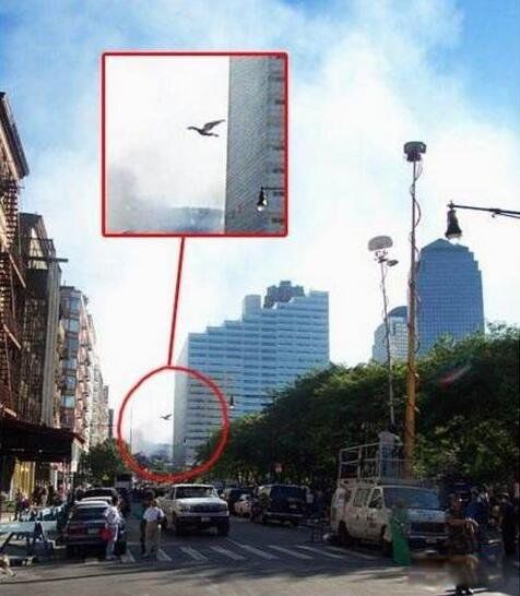 ����˳��˵�ͼƬ �������Ĵ�����?