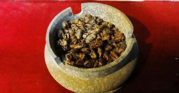 �置����������� �����ƶ���ʲô