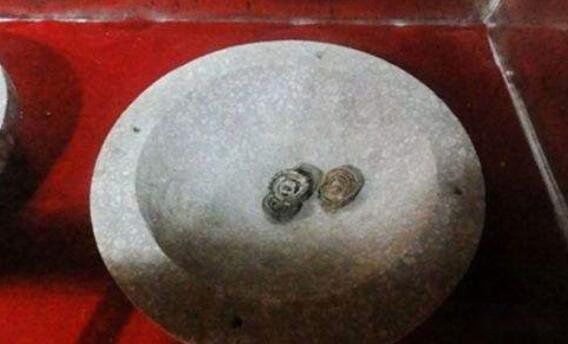 �置����������� �����ƶ���ʲô