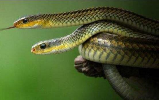 �置����������� �����ƶ���ʲô