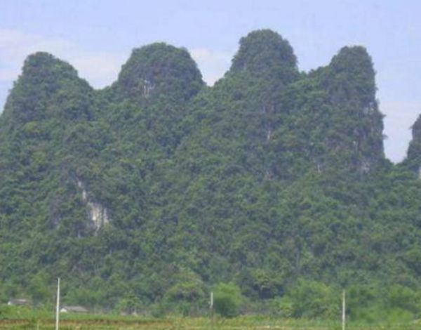 �Ĵ������Ŀֲ�֮����ʲô �ֲ�ϸ�ڷ����ж�Ѫ��