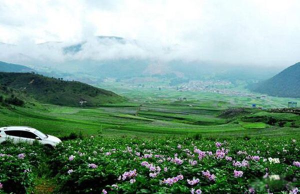 �Ϸ��ͱ�����ô���� ������������Щ������