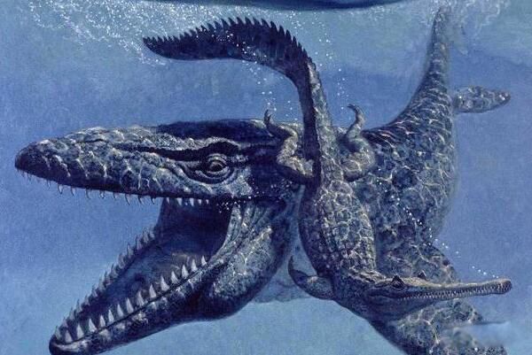 �����������ж��ض����� ��������������ô�����ֵ�