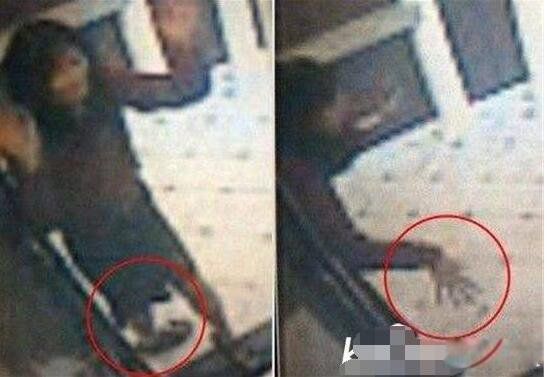 2016���ɶ��ư����� ���ɶ������¼����ư�����