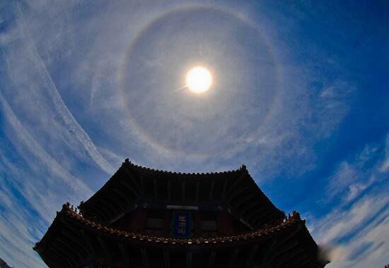 ����������ʲô���� ����Ī�ⱻ��������