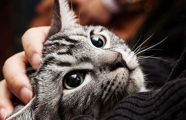 è�����ж�� è�������൱������ļ�����