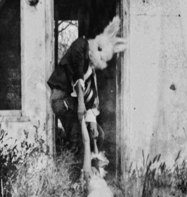 �������˴�˵�ֲ��¼��ư����� ����ɱ���������