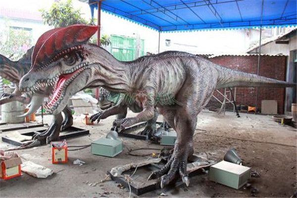 ˫���������Ͻ��ܼ�� ��ʳ���˫����������ʲôʱ��