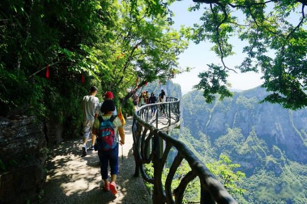 �żҽ����ջ����� ����ջ������������ʷ