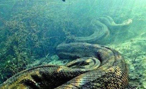 �й�����200�׾�����Ƶ������� ʮ�ֿ��²�������200�׳��Ĵ���