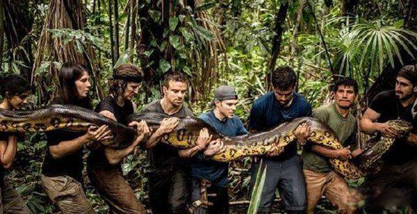 �й�����200�׾�����Ƶ������� ʮ�ֿ��²�������200�׳��Ĵ���